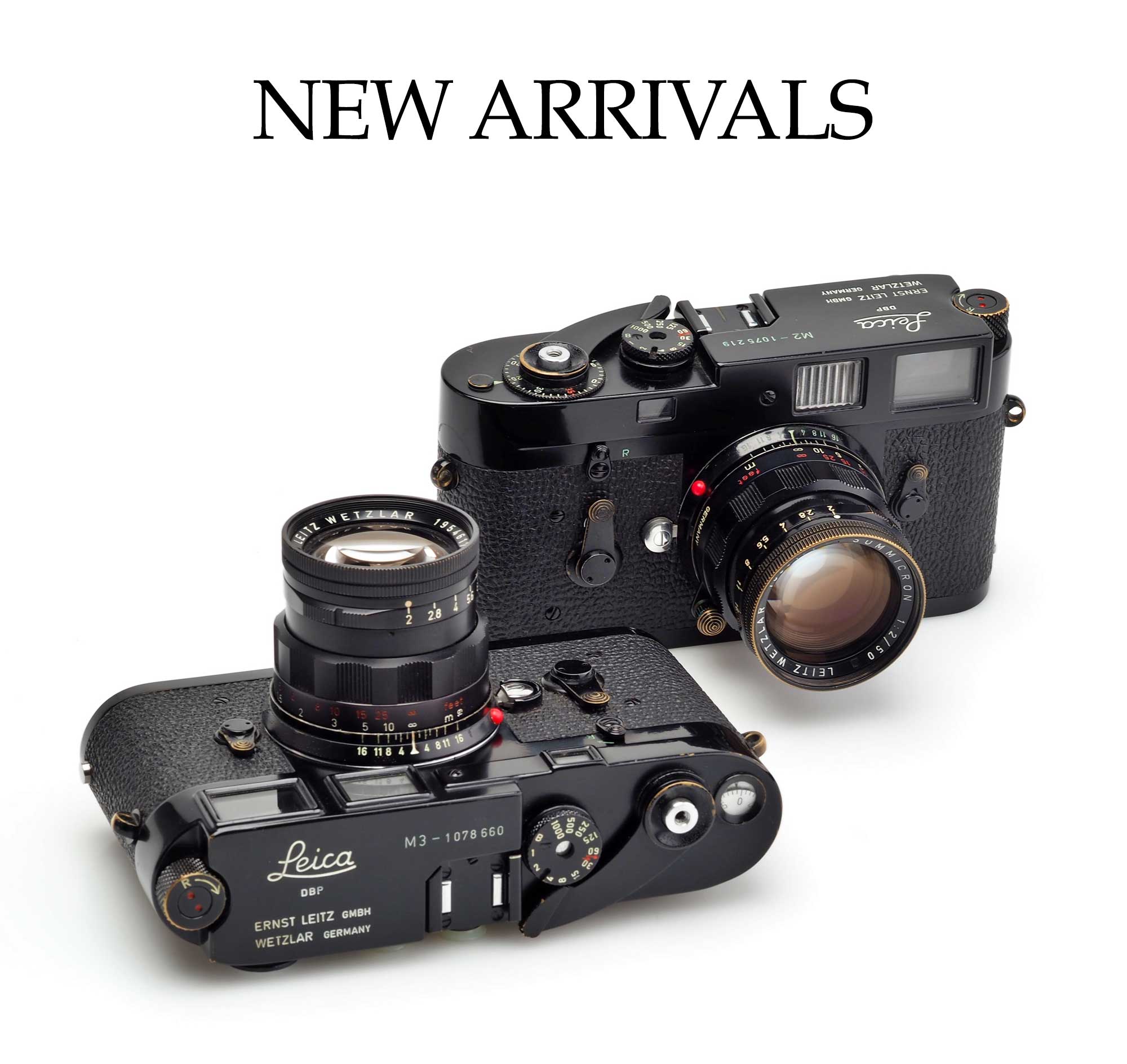 New Arrivals