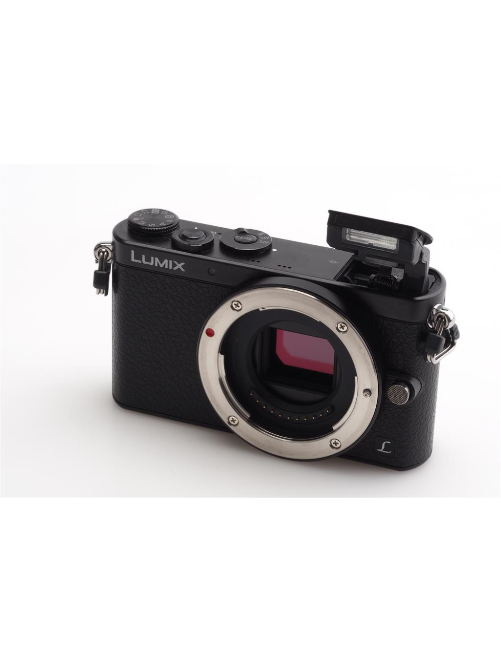 Panasonic Lumix DMC-GM1 Black Body M4/3 w. Box | JO GEIER