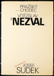 Vitezslav Nezval - Prazsky chodec - Fotografoval