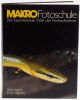 2110000462987_10020_1_martin_sigristerwin_stegmann_-_makro_fotoschule_7d1b4d1f.jpg