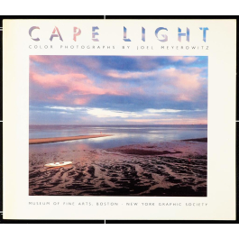 CAPE LIGHT - COLOR PHOTOGRAPHS BY JOEL MEYEROWITZ | JO GEIER