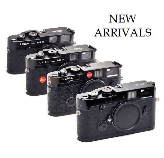 New Arrivals